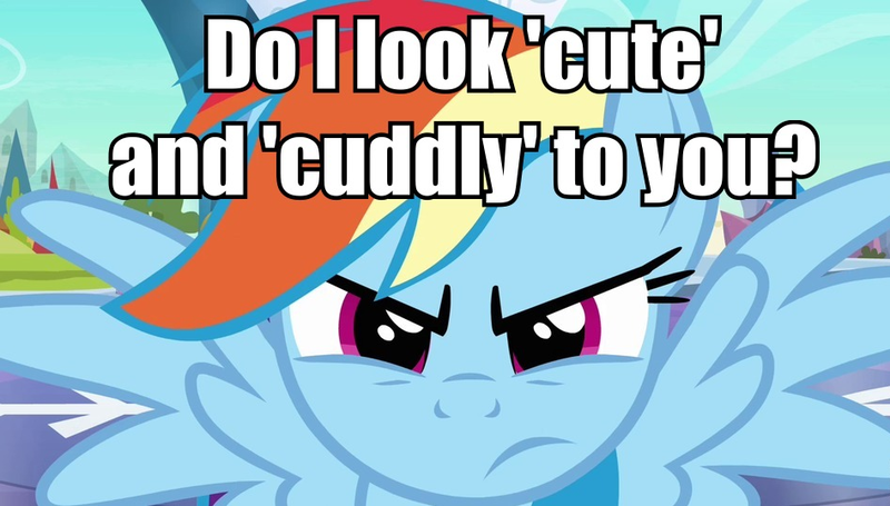 Size: 947x539 | Tagged: angry, caption, cuddly, cute, derpibooru import, image macro, rainbow dash, safe, text