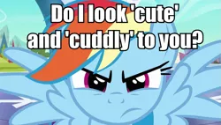 Size: 947x539 | Tagged: angry, caption, cuddly, cute, derpibooru import, image macro, rainbow dash, safe, text