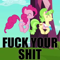 Size: 700x700 | Tagged: bouncing, caption, chickadee, derpibooru import, dialogue, duo, duo female, edit, edited screencap, female, fuck your shit, games ponies play, happy, hopping, image macro, ms. chickenbottom, ms. peachbottom, pinkie pie, pronking, reaction image, safe, screencap, smiling, text, vulgar