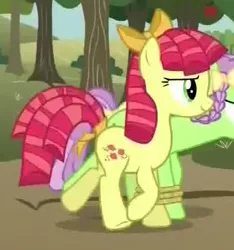 Size: 396x423 | Tagged: safe, derpibooru import, screencap, auntie applesauce, candy twirl, earth pony, pony, apple family reunion, apple family member, background pony, bow, cropped, duo, female, hair bow, mare, seven-legged race