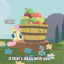 Size: 565x561 | Tagged: apple, bucket, caption, cropped, derpibooru import, edit, edited screencap, fluttershy, food, image macro, safe, screencap, solo, soon, swarm of the century, text