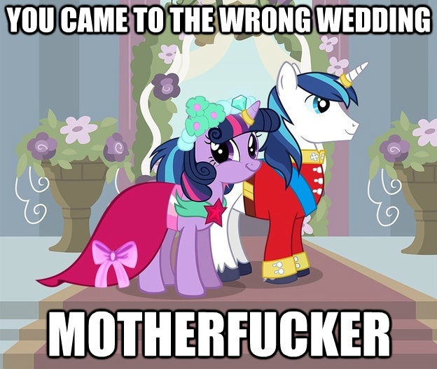 Size: 624x527 | Tagged: brother and sister, caption, derpibooru import, faic, female, foaly matripony, francis sparkle, friendship is witchcraft, image macro, incest, infidelity, male, marriage, not creepy, not incest, safe, shining armor, shiningsparkle, shipping, siblings, smirk, straight, text, twicest, twiface, twilight sparkle, vulgar, wedding, wrong neighborhood