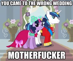 Size: 624x527 | Tagged: brother and sister, caption, derpibooru import, faic, female, foaly matripony, francis sparkle, friendship is witchcraft, image macro, incest, infidelity, male, marriage, not creepy, not incest, safe, shining armor, shiningsparkle, shipping, siblings, smirk, straight, text, twicest, twiface, twilight sparkle, vulgar, wedding, wrong neighborhood