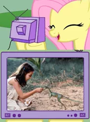 Size: 563x771 | Tagged: compsognathus, derpibooru import, dinosaur, exploitable meme, fluttershy, fs doesn't know what she's getting into, happy, jurassic park, meme, obligatory pony, safe, the lost world, this will end in tears, tv meme