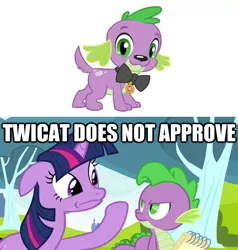 Size: 624x656 | Tagged: safe, derpibooru import, spike, twilight sparkle, dog, unicorn, equestria girls, behaving like a cat, caption, dog drama, image macro, italian twilight, spike the dog, stock vector, text, twilight cat, unicorn twilight