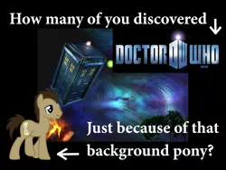 Size: 1536x1152 | Tagged: caption, derpibooru import, doctor who, doctor whooves, image macro, safe, tardis, text, time turner