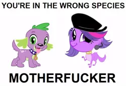 Size: 640x437 | Tagged: safe, derpibooru import, spike, twilight sparkle, dog, equestria girls, caption, faic, image macro, littlest pet shop, parody, smirk, spike the dog, text, twiface, twilight barkle, vulgar, wrong neighborhood, zoe trent