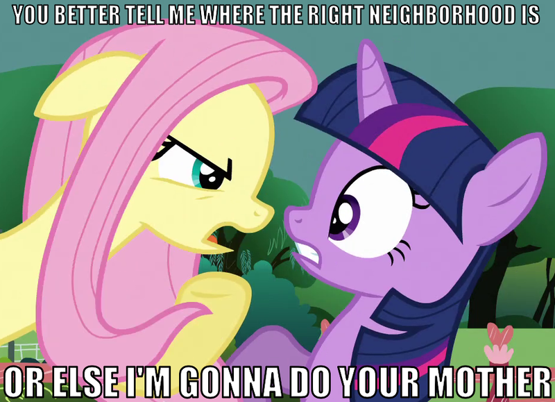 Size: 933x675 | Tagged: angry, caption, derpibooru import, female, fluttershy, fluttervelvet, image macro, infidelity, lesbian, shipping, suggestive, text, twilight sparkle, twilight velvet, wrong neighborhood