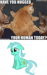 Size: 949x1535 | Tagged: caption, cat, crying lyra, derpibooru import, human, humie, image macro, lyra heartstrings, safe, text