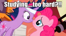 Size: 1126x632 | Tagged: bloodshot eyes, boop, caption, derpibooru import, eye contact, frown, headband, image macro, it's about time, looking at each other, meme, messy mane, noseboop, nose wrinkle, pinkie pie, safe, screencap, scrunchy face, studying, text, twilight sparkle, wide eyes