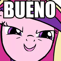 Size: 1000x1000 | Tagged: bueno, derpibooru import, princess cadance, safe