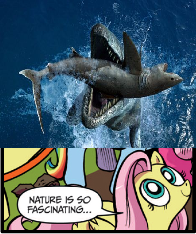 Size: 396x473 | Tagged: semi-grimdark, derpibooru import, edit, idw, fluttershy, mosasaur, pegasus, pony, shark, exploitable meme, female, food chain, mare, meme, nature is so fascinating, obligatory pony, predation, predator, prey, sea monsters a prehistoric adventure, vore