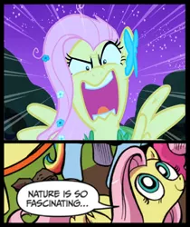 Size: 671x800 | Tagged: clothes, derpibooru import, dress, edit, edited screencap, exploitable meme, flutterrage, fluttershy, gala dress, meme, nature is so fascinating, obligatory pony, safe, screencap, self ponidox, the best night ever