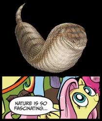 Size: 397x473 | Tagged: derpibooru import, exploitable meme, fluttershy, meme, meta, nature is so fascinating, obligatory pony, safe, snake, tsuchinoko, wat