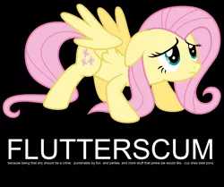 Size: 1600x1340 | Tagged: arial, derpibooru import, flutterscum, fluttershy, pinkie pie, safe, text