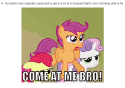 Size: 634x445 | Tagged: angry, animated, come at me bro, derpibooru import, revealed facts, safe, scootaloo, scootaloo can't fly