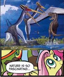 Size: 392x473 | Tagged: derpibooru import, dinosaur, exploitable meme, fluttershy, idw, meme, nature is so fascinating, obligatory pony, pterosaur, quetzalcoatlus, safe, tyrannosaurus rex