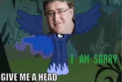 Size: 1020x680 | Tagged: derpibooru import, gabe newell, give me a head, meme, princess luna, safe