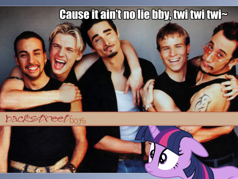 Size: 1024x768 | Tagged: backstreet boys, cowboy bebop at his computer, derpibooru import, nsync, parody, safe, twilight sparkle, wat