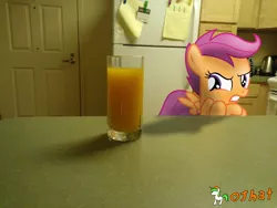 Size: 3264x2448 | Tagged: safe, artist:ojhat, derpibooru import, scootaloo, pegasus, pony, crossed hooves, disgusted, female, filly, irl, juice, kitchen, orange juice, photo, ponies in real life, solo