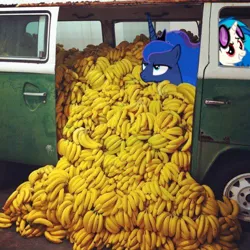 Size: 500x500 | Tagged: safe, artist:ra1nbowscr4tch, derpibooru import, edit, princess luna, vinyl scratch, pony, banana, car, food, friendship is magic bitch, irl, photo, ponies in real life, wat