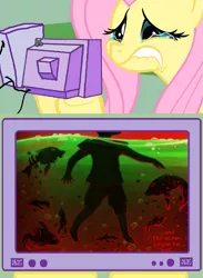 Size: 563x771 | Tagged: ava's demon, computer, derpibooru import, exploitable meme, fish, fluttercry, fluttershy, gil marverde, meme, obligatory pony, safe, tv meme