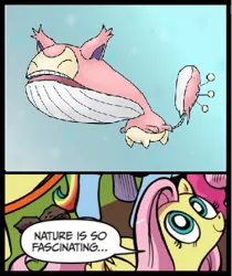 Size: 398x473 | Tagged: derpibooru import, exploitable meme, fluttershy, fusion, hot skitty on wailord action, idw, meme, mutant, nature is so fascinating, obligatory pony, offspring, pokémon, safe, skitty, wailord, whale, what has science done