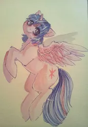 Size: 660x958 | Tagged: safe, artist:busoni, derpibooru import, twilight sparkle, twilight sparkle (alicorn), alicorn, pony, painting, traditional art, watercolor painting