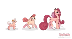 Size: 3737x2065 | Tagged: safe, artist:almairis, derpibooru import, ponified, clefable, clefairy, cleffa, pony, evolution chart, female, filly, foal, mare, mother and child, mother and daughter, pokémon, ponymon, simple background, socks (coat marking), transparent background