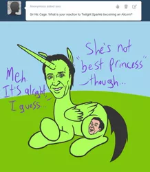 Size: 1000x1145 | Tagged: safe, derpibooru import, ponified, alicorn, pony, april fools, hate mail for twist, nicolas cage, you don't say