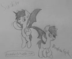 Size: 1176x960 | Tagged: safe, artist:zesandvich, derpibooru import, oc, oc:frolicsome meadowlark, oc:sunshine smiles (egophiliac), unofficial characters only, bat pony, pony, moonstuck, 30 minute art challenge, grayscale, monochrome, pencil drawing, traditional art