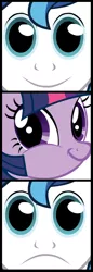 Size: 504x1459 | Tagged: derpibooru import, don't blink or he'll get ya, faic, inverted mouth, meme, safe, shining armor, smirk, twiface, twilight sparkle, twily face