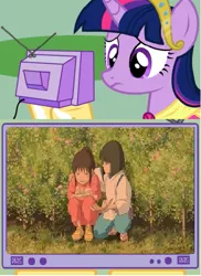 Size: 437x599 | Tagged: safe, derpibooru import, twilight sparkle, twilight sparkle (alicorn), alicorn, pony, chihiro ogino, exploitable meme, female, mare, meme, obligatory pony, sad, spirited away, studio ghibli, tv meme