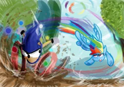 Size: 1280x896 | Tagged: artist:skatoonist, crossover, derpibooru import, rainbow dash, safe, sonic the hedgehog, sonic the hedgehog (series)