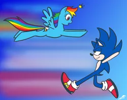Size: 1280x1002 | Tagged: artist:thex-plotion, crossover, derpibooru import, rainbow dash, rivalry, safe, sonic the hedgehog, sonic the hedgehog (series)