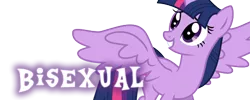 Size: 500x200 | Tagged: safe, derpibooru import, twilight sparkle, twilight sparkle (alicorn), alicorn, pony, bi twi, bilight sparkle, bisexuality, female, mare, meta, simple background, solo, white background