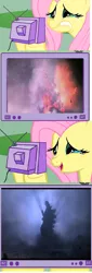 Size: 448x1320 | Tagged: crying, derpibooru import, exploitable meme, fluttershy, godzilla, godzilla junior, godzilla (series), godzilla vs destoroyah, kaiju, meme, obligatory pony, sad, safe, tearjerker, tears of joy, tv meme