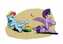 Size: 2200x1556 | Tagged: safe, artist:distoorted, derpibooru import, rainbow dash, twilight sparkle, twilight sparkle (alicorn), alicorn, pony, crash, crashlight, faceplant