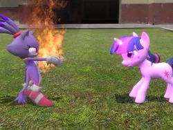 Size: 1024x768 | Tagged: 3d, artist:fabri600, blaze the cat, crossover, derpibooru import, fire, gmod, safe, sonic the hedgehog (series), twilight sparkle