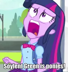 Size: 716x758 | Tagged: safe, derpibooru import, edit, edited screencap, screencap, twilight sparkle, equestria girls, equestria girls (movie), cropped, exploitable meme, meme, solo, soylent green, twiscream