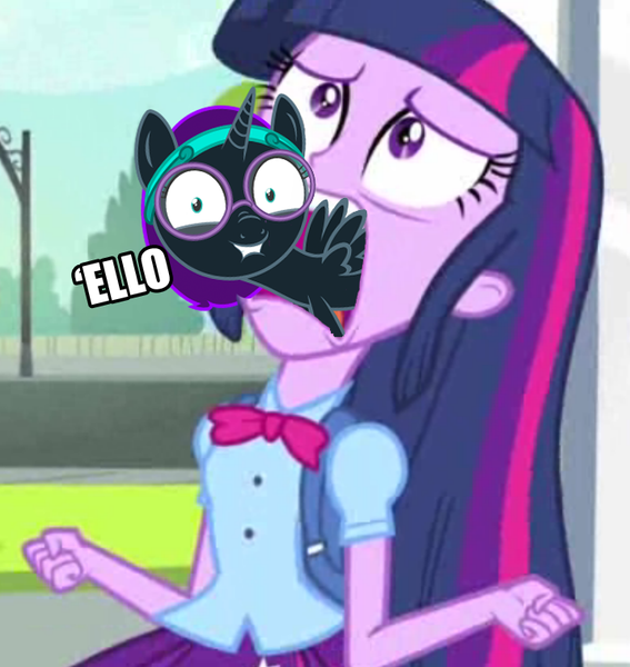 Size: 716x758 | Tagged: safe, artist:niggerfaggot, derpibooru import, edit, edited screencap, screencap, twilight sparkle, oc, oc:nyx, alicorn, pony, equestria girls, equestria girls (movie), alicorn oc, caption, cropped, exploitable meme, female, filly, horn, meme, twiscream, wings