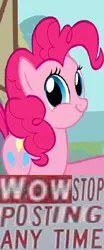 Size: 360x867 | Tagged: caption, derpibooru import, expand dong, exploitable meme, faic, image macro, it's time to stop posting, meme, pinkie pie, safe, smirk, twiface, why.jpg