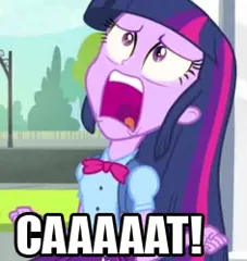 Size: 236x250 | Tagged: safe, derpibooru import, edit, edited screencap, screencap, twilight sparkle, equestria girls, equestria girls (movie), caption, cropped, exploitable meme, image macro, meme, nostalgia critic, solo, text, tgwtg, twiscream