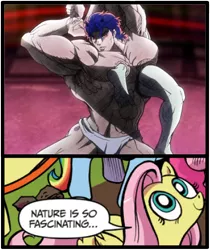 Size: 397x473 | Tagged: body horror, derpibooru import, exploitable meme, fluttershy, jojo's bizarre adventure, meme, muscles, nature is so fascinating, obligatory pony, overdeveloped muscles, safe, santana