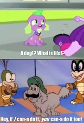 Size: 692x1013 | Tagged: safe, derpibooru import, edit, edited screencap, screencap, spike, twilight sparkle, dog, equestria girls, equestria girls (movie), caption, dic, exploitable meme, iggy koopa, image macro, koopalings, lemmy koopa, luigi, meme, nintendo, spike the dog, super mario bros., super mario bros. super show, text, the adventures of super mario bros. 3, twiscream