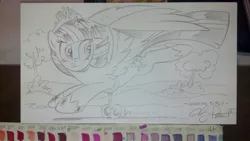 Size: 1023x577 | Tagged: safe, artist:andypriceart, derpibooru import, twilight sparkle, twilight sparkle (alicorn), alicorn, pony, traditional art, training wheels