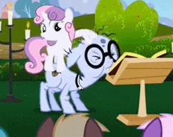 Size: 294x233 | Tagged: safe, derpibooru import, screencap, coco crusoe, lyra heartstrings, mr. waddle, sweetie belle, earth pony, pony, unicorn, hearts and hooves day (episode), animated, background pony, clerical collar, elderly, female, filly, gif, glasses, hearts and hooves day, liver spots, male, noogie, stallion, the perfect stallion