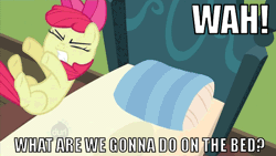 Size: 640x360 | Tagged: animated, apple bloom, bed, caption, derpibooru import, image macro, pomf, safe, text, what are we gonna do on the bed?