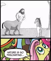 Size: 391x466 | Tagged: centaur, derpibooru import, exploitable meme, fluttershy, idw, meme, nature is so fascinating, obligatory pony, reverse centaur, safe, the new yorker