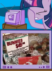 Size: 562x771 | Tagged: animal, derpibooru import, exploitable meme, facehoof, fail, ferret, meme, obligatory pony, pet shop, rabbit, safe, seems legit, tv meme, twilight sparkle, you had one job